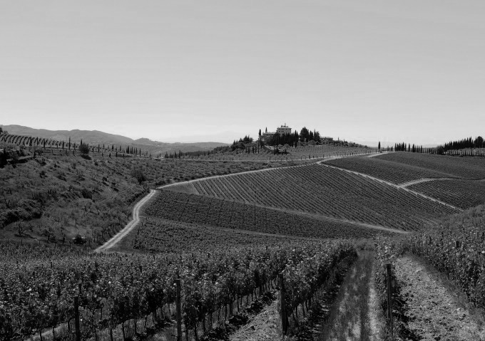 Chianti Region